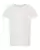 100195_f_fl.webp