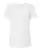 100459_f_fl.webp