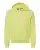 100466_f_fl.webp
