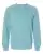 100479_f_fl.webp