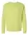 100481_f_fl.webp