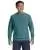 1009.webp