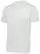 10171.webp