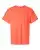 1018587.webp
