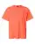1018600.webp