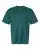 1018925.webp