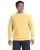 1019.webp