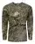 1019000.webp