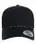 1019158.webp