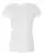 103651_f_fl.webp