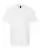 104296_f_fl.webp