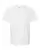 104316_f_fl.webp