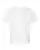 104374_f_fl.webp