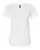 104382_f_fl.webp