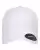 105168_f_fl.webp