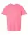 106622_f_fl.webp