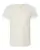106663_f_fl.webp