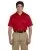 1070.webp