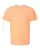 107768_f_fl.webp