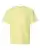 107769_f_fl.webp