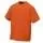 10961.webp