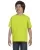 112114.webp