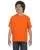 112129.webp
