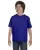 112169.webp