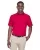 112695.webp
