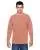 113091.webp
