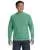 113115.webp