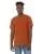 113209.webp