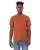 113286.webp