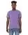 113294.webp
