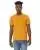 113302.webp