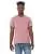 113310.webp