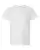 114930_f_fl.webp