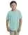 115692.webp