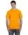 11755.webp