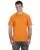 11770.webp