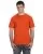 11780.webp