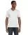 11831.webp