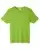 118731_f_fl.webp
