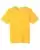 118734_f_fl.webp