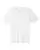 118752_f_fl.webp