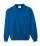 11884.webp