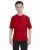 11895.webp
