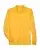 118970_f_fl.webp