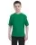 11902.webp