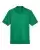 119034_f_fl.webp